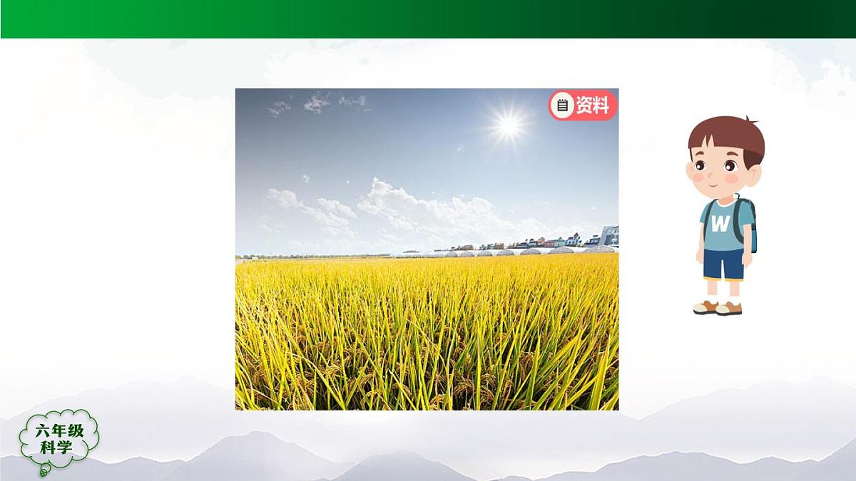 0929(人教版)六年级【科学上册】植物的光合作用(第一课时)-2课件第6页