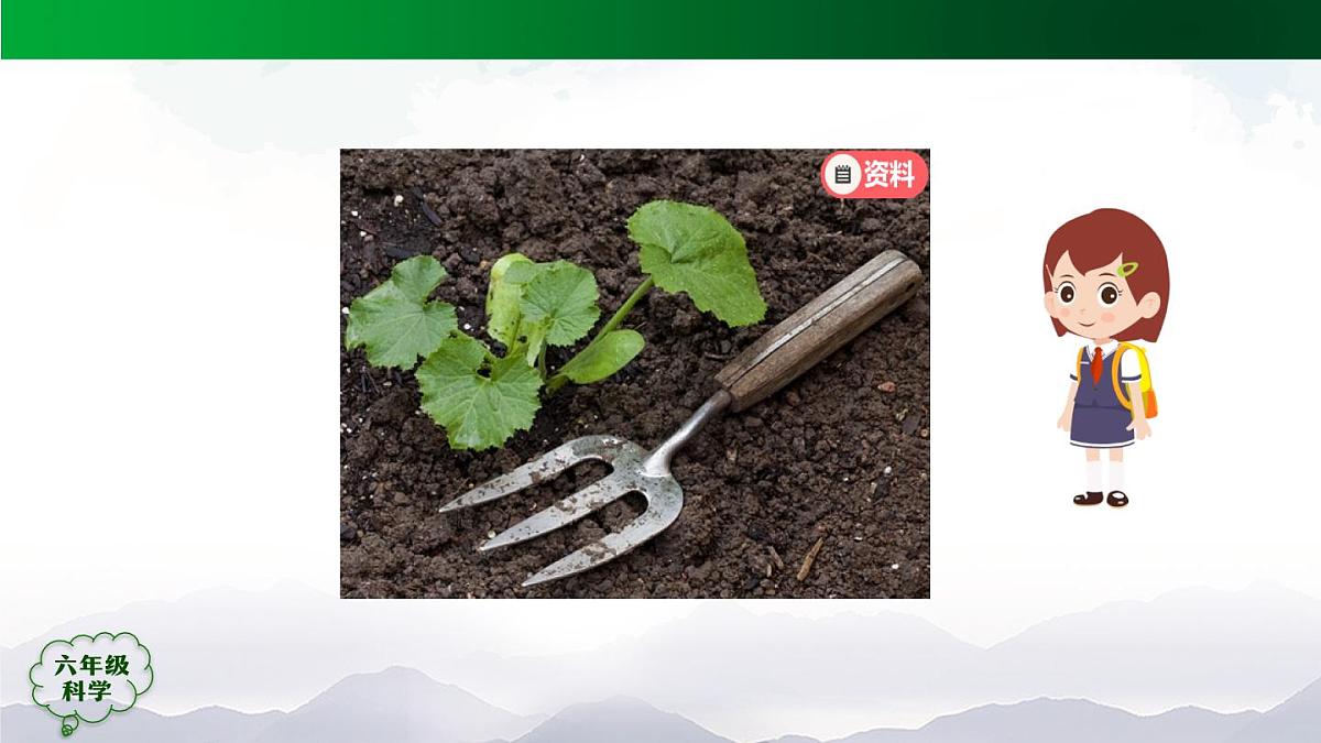 0929(人教版)六年级【科学上册】植物的光合作用(第一课时)-2课件第8页