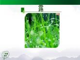 2025年秋人教鄂教版六年級科學上冊 3.9《露和霜》(課件+教案+任務單+練習)