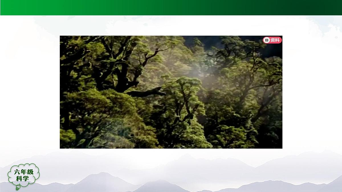 六年级【科学(人教版)】11 水在自然界的循环-课件第6页