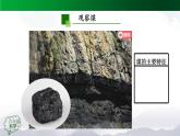 2025年秋人教鄂教版六年級(jí)科學(xué)上冊(cè) 4.13《煤、石油和天然氣》(課件+教案+任務(wù)單+練習(xí))