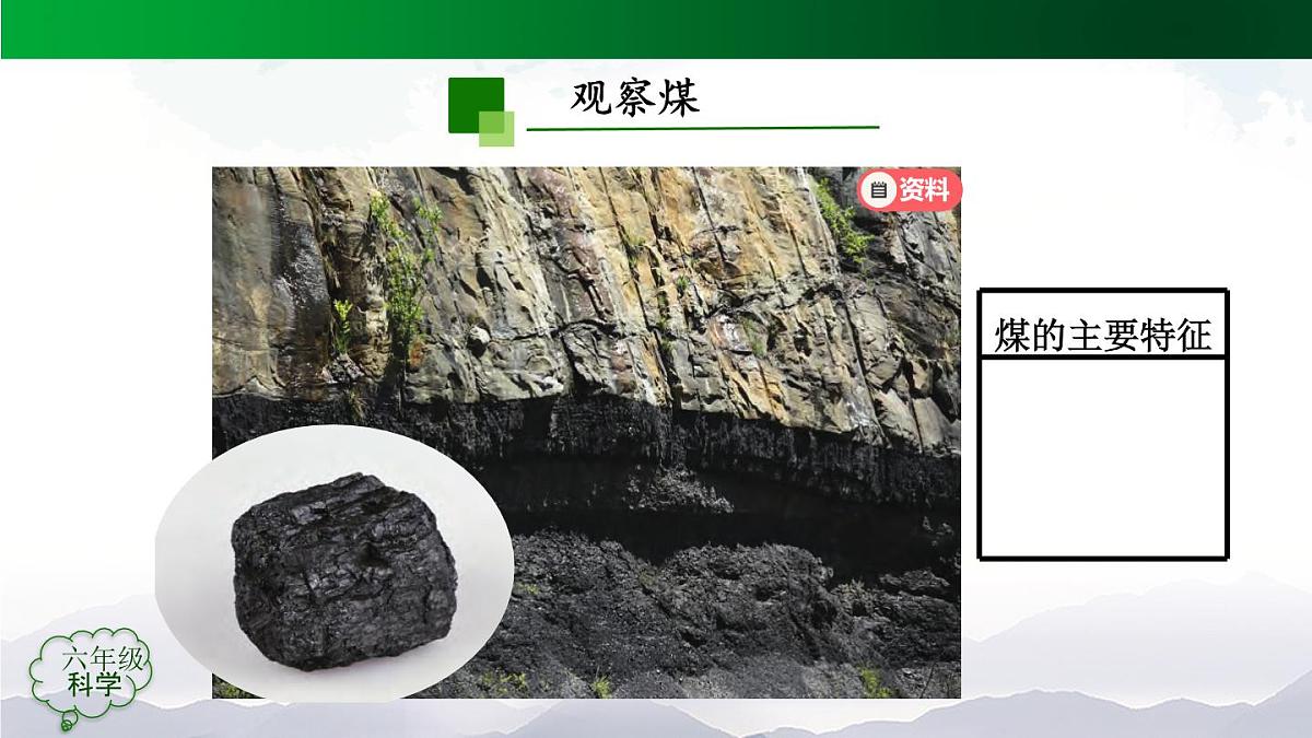 六年级【科学(人教版)】13 煤、石油和天然气-课件第5页
