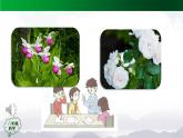 2025年秋人教鄂教版六年級科學上冊 5.16《走進植物工廠》(課件+教案+任務單+練習)