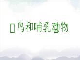2025年秋人教鄂教版四年級科學上冊 1.1《鳥和哺乳動物》 教學設計+課件ppt+任務單+練習題01