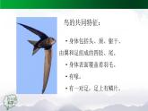 2025年秋人教鄂教版四年級科學(xué)上冊 1.2《動物的分類》 教學(xué)設(shè)計+課件+任務(wù)單+練習(xí)題