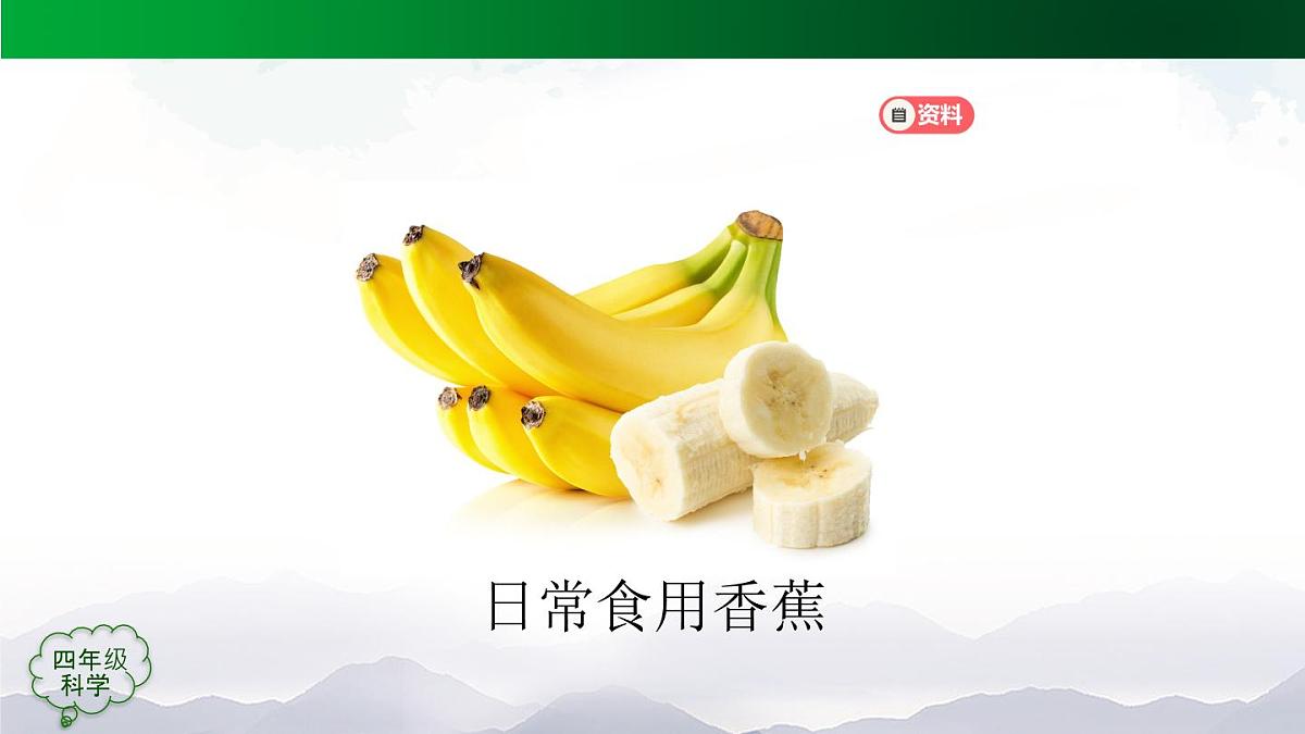 （人教鄂教版）四年级科学上册 不用种子怎样繁殖-2课件第3页