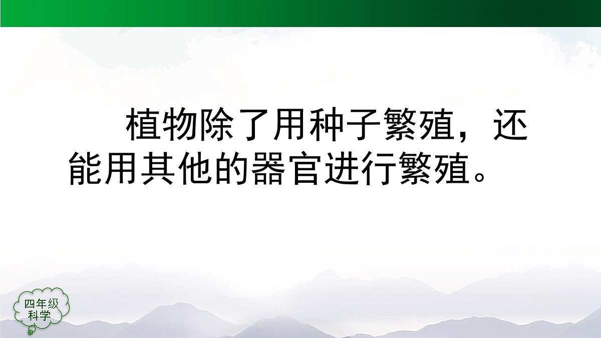 （人教鄂教版）四年级科学上册 不用种子怎样繁殖-2课件第8页