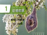 教科版（2024）小學(xué)科學(xué)二上 1.1動物的家課件2025新制作