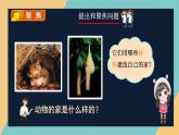 教科版（2024）小學(xué)科學(xué)二上 1.1動物的家課件2025新制作