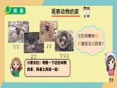 教科版（2024）小學(xué)科學(xué)二上 1.1動物的家課件2025新制作
