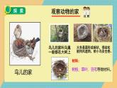 教科版（2024）小學(xué)科學(xué)二上 1.1動物的家課件2025新制作