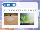 2025年秋蘇教版科學(xué)二年級(jí)上冊(cè) 2.4 曬太陽（教學(xué)課件）