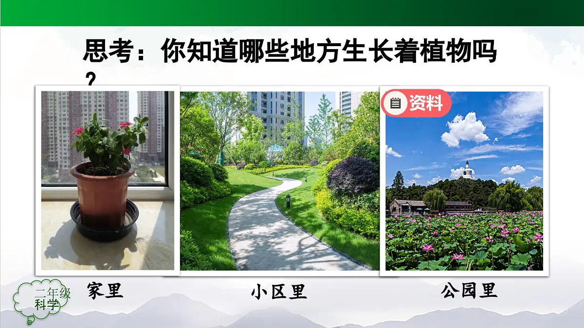 人教鄂教版二年级科学上册1.1 养植物-课件第2页