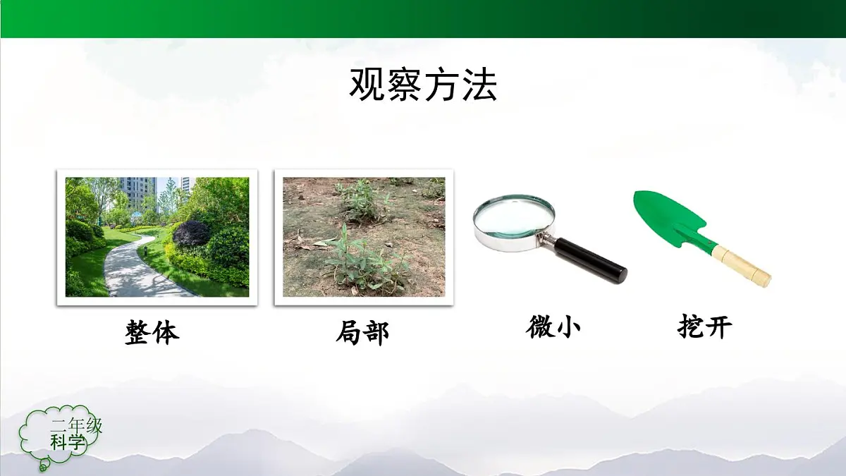 人教鄂教版二年级科学上册1.1 养植物-课件第5页
