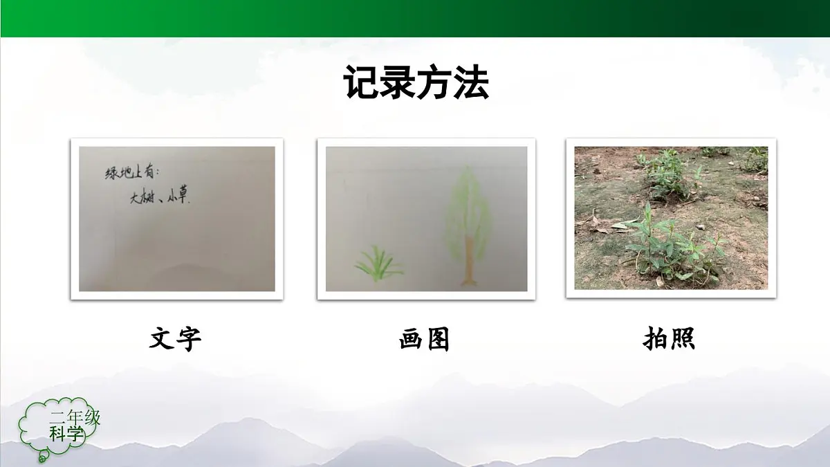 人教鄂教版二年级科学上册1.1 养植物-课件第6页