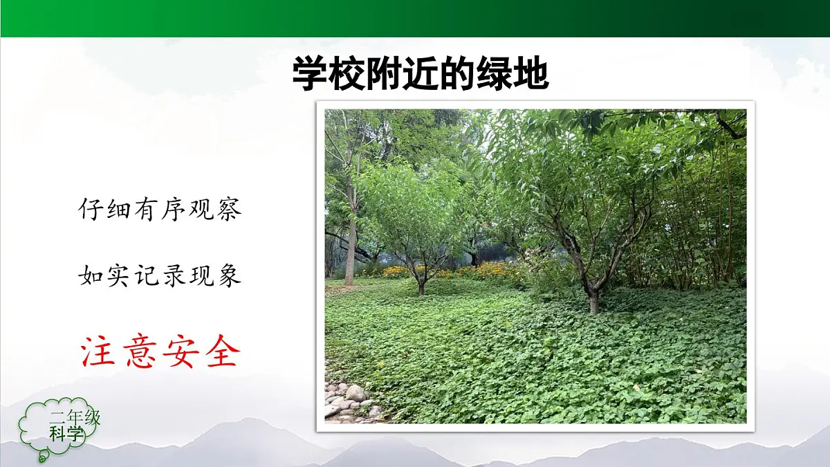 人教鄂教版二年级科学上册1.1 养植物-课件第7页
