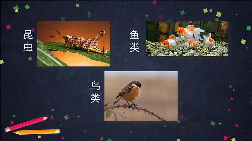 (湘科版)三年级科学上册2.4 哺乳动物-课件第2页