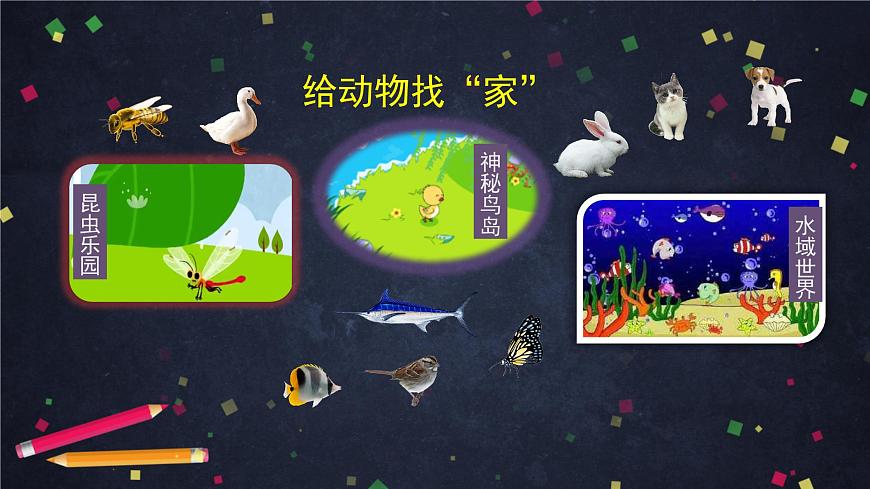 (湘科版)三年级科学上册2.4 哺乳动物-课件第3页