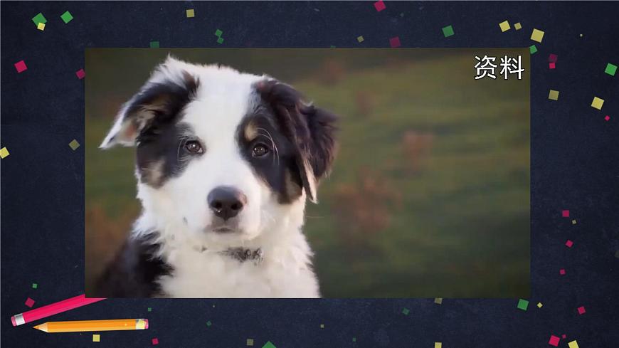 (湘科版)三年级科学上册2.4 哺乳动物-课件第5页