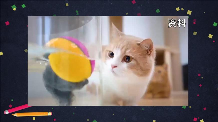 (湘科版)三年级科学上册2.4 哺乳动物-课件第7页