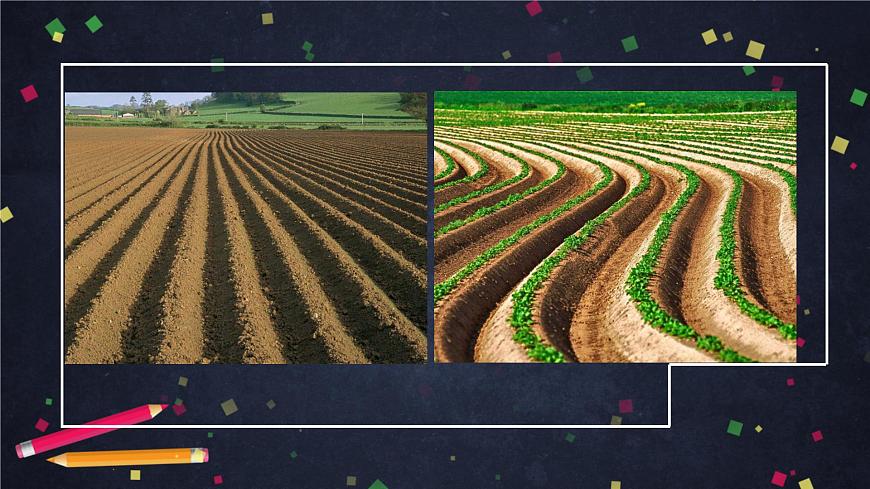 (湘科版)三年级科学上册3.4 土壤的保护-课件第2页