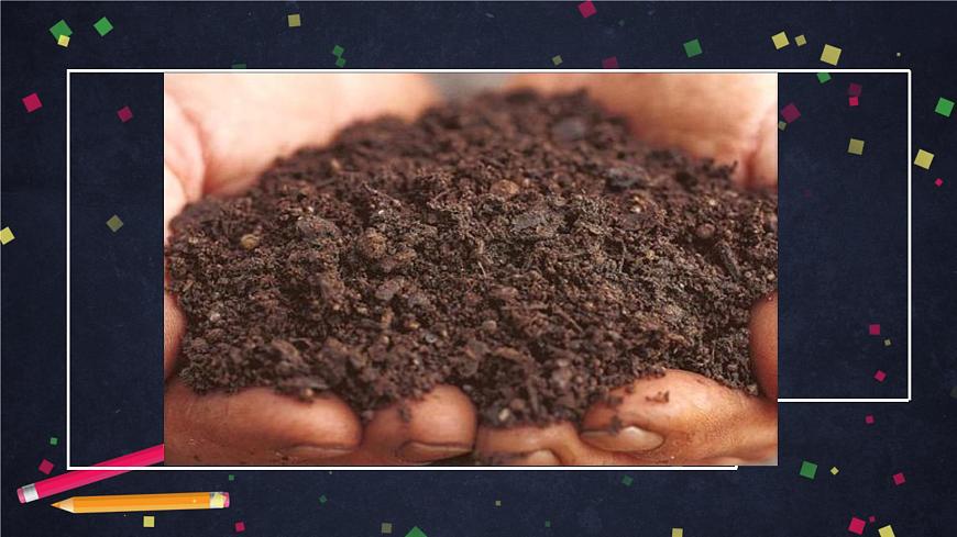 (湘科版)三年级科学上册3.4 土壤的保护-课件第3页