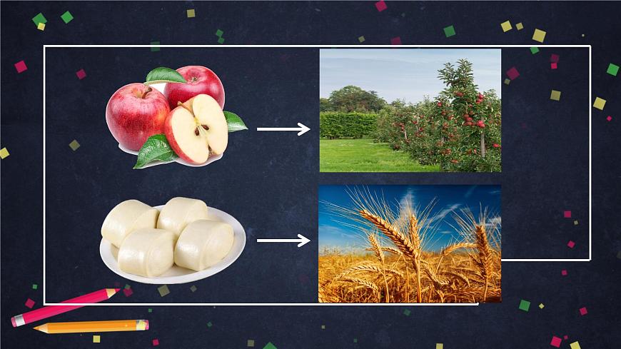 (湘科版)三年级科学上册3.4 土壤的保护-课件第4页