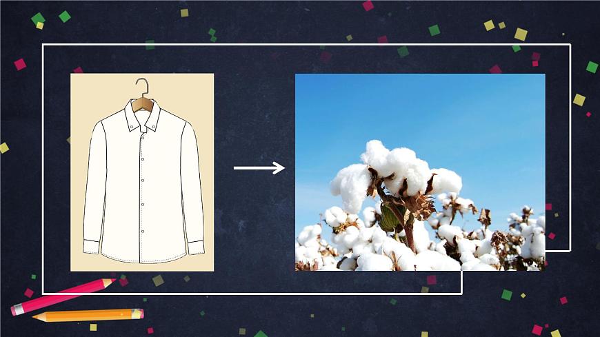 (湘科版)三年级科学上册3.4 土壤的保护-课件第5页