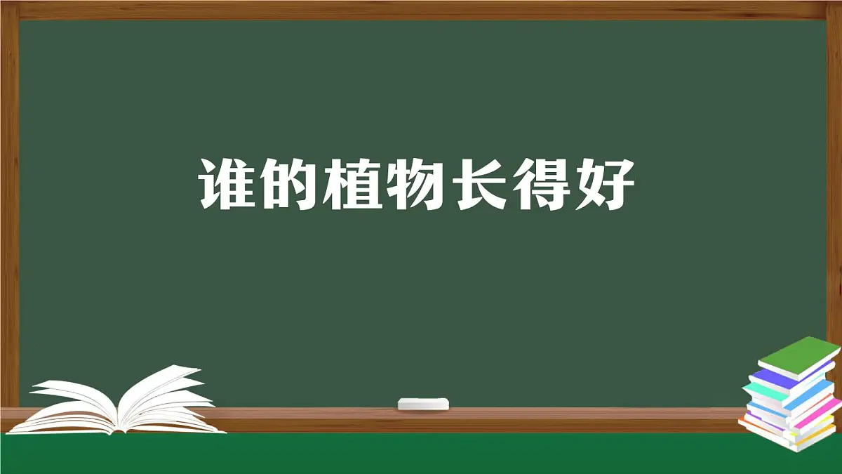 人教鄂教版（2024）二年级科学上册 2 谁的植物长得好-课件第1页