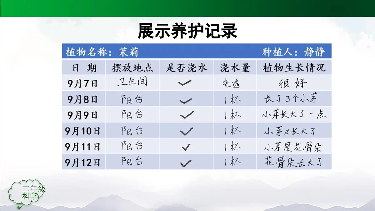 人教鄂教版（2024）二年级科学上册 2 谁的植物长得好-课件第4页