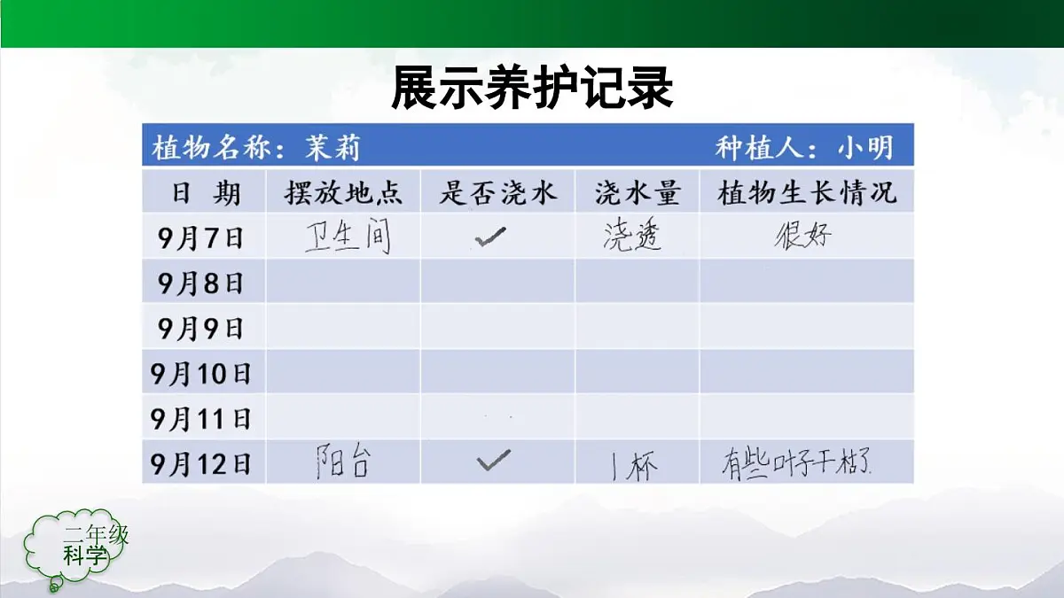 人教鄂教版（2024）二年级科学上册 2 谁的植物长得好-课件第6页