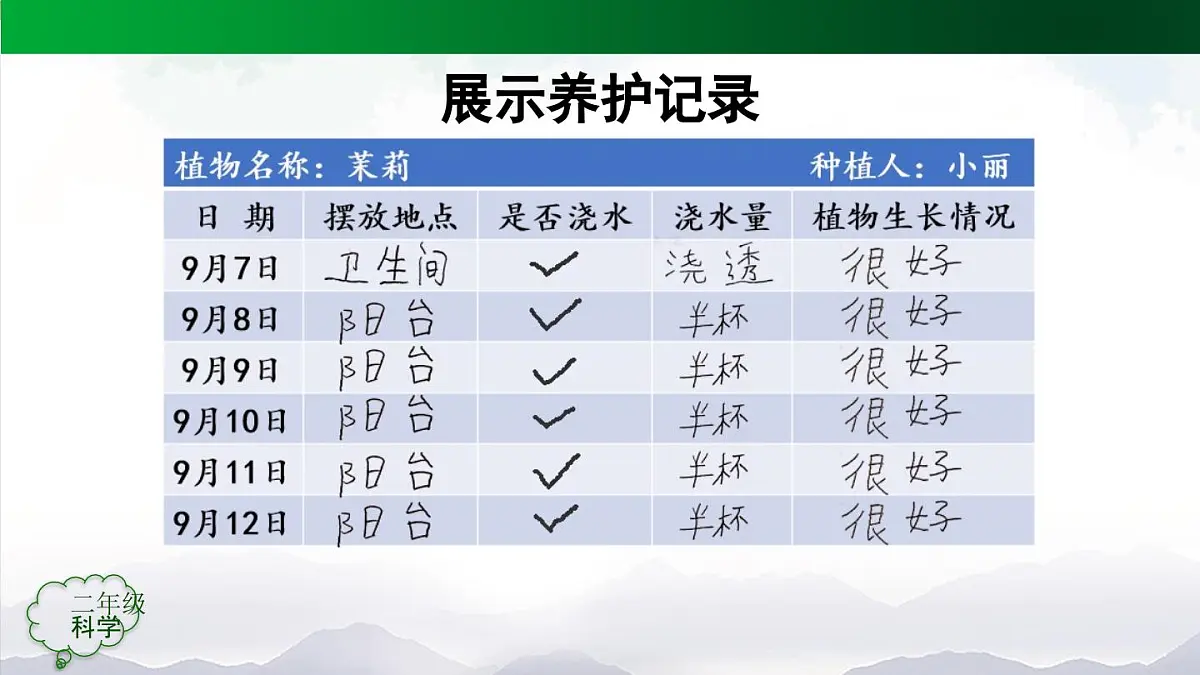 人教鄂教版（2024）二年级科学上册 2 谁的植物长得好-课件第8页