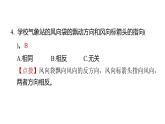 1.5觀測(cè)風(fēng)（練習(xí)課件）2025-2026學(xué)年教科版三年級(jí)科學(xué)上冊(cè)