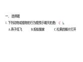 1.7天氣預(yù)報(bào)（練習(xí)課件）2025-2026學(xué)年教科版三年級(jí)科學(xué)上冊(cè)