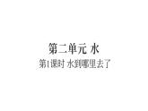 2.1水到哪里去了（練習(xí)課件）2025-2026學(xué)年教科版三年級(jí)科學(xué)上冊(cè)