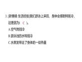 2.1水到哪里去了（練習(xí)課件）2025-2026學(xué)年教科版三年級(jí)科學(xué)上冊(cè)