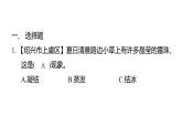 2.2水珠從哪里來（練習(xí)課件）2025-2026學(xué)年教科版三年級科學(xué)上冊