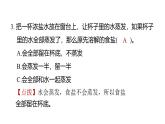 2.8用水分離（練習(xí)課件）2025-2026學(xué)年教科版三年級科學(xué)上冊
