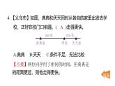 3.5相同時間比快慢（練習(xí)課件）2025-2026學(xué)年教科版三年級科學(xué)上冊