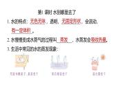 第二單元 水（復習課件）2025-2026學年教科版三年級科學上冊
