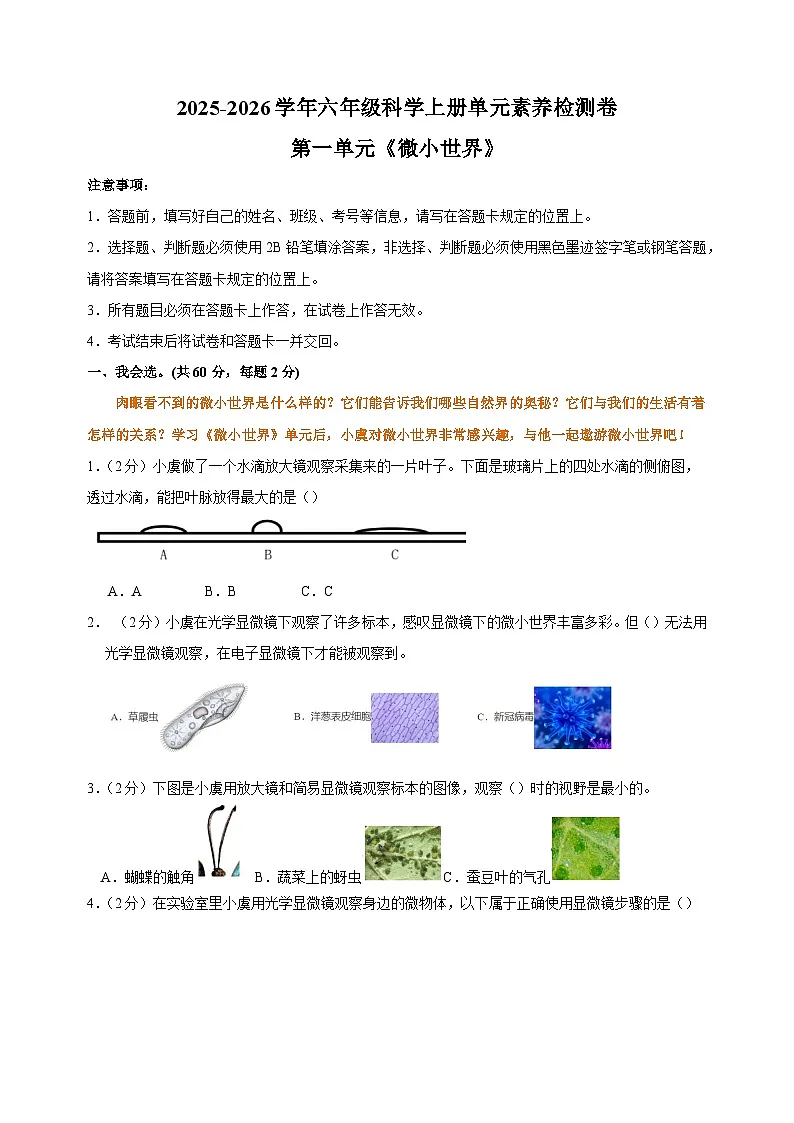 2025-2026学年六年级科学上册第一单元《微小世界》素养检测卷（含答案解析）第1页