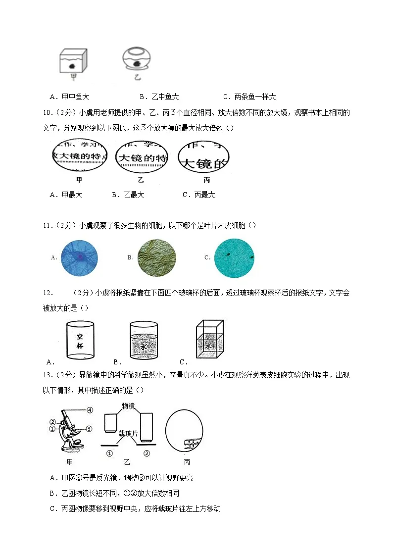 2025-2026学年六年级科学上册第一单元《微小世界》素养检测卷（含答案解析）第3页