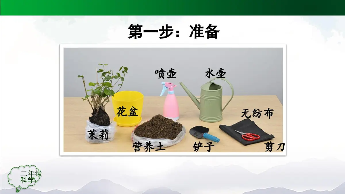 人教鄂教版二年级科学上册第一单元 植物的生活 1 养植物(第二课时)-课件第7页