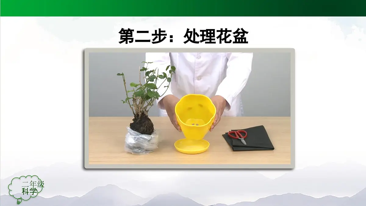 人教鄂教版二年级科学上册第一单元 植物的生活 1 养植物(第二课时)-课件第8页