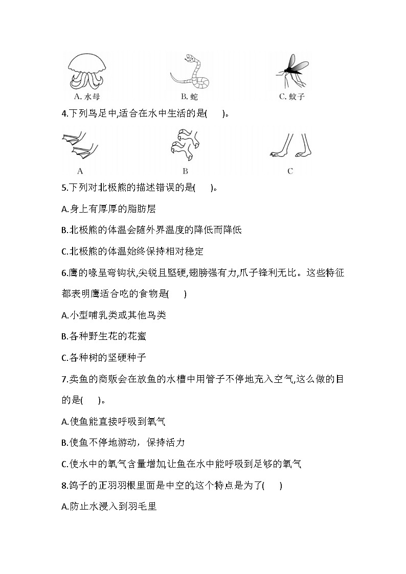 2025-2026学年苏教版四年级科学上册 第一单元 动物大家族 检测（含答案）第3页