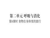 2025年教科版四年级科学上册 2.8食物在身体里的旅行（复习课件）