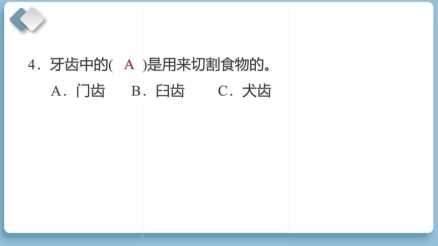 2025年教科版四年级科学上册 金华市期末教学质量监测（复习课件）第5页