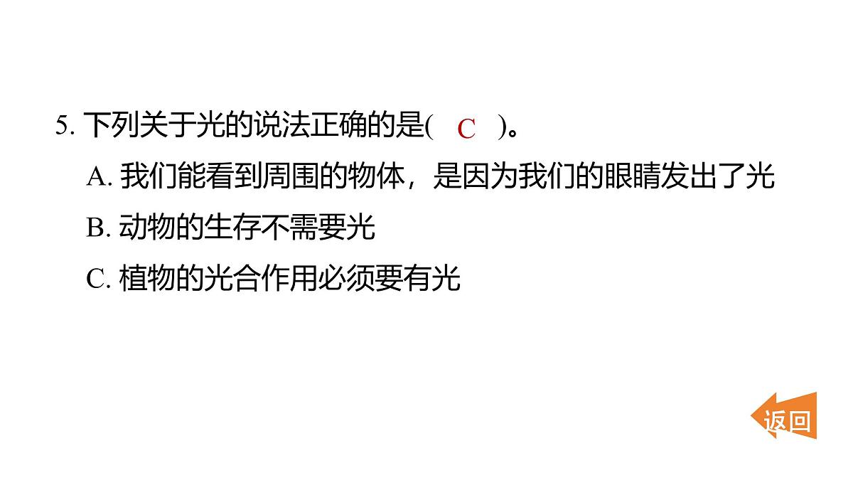 2025年教科版五年级科学上册1.1有关光的思考（复习课件）第7页