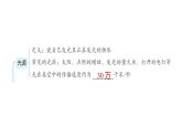 2025年教科版五年級科學(xué)上冊第一單元 光綜合素養(yǎng)提優(yōu)（復(fù)習(xí)課件）