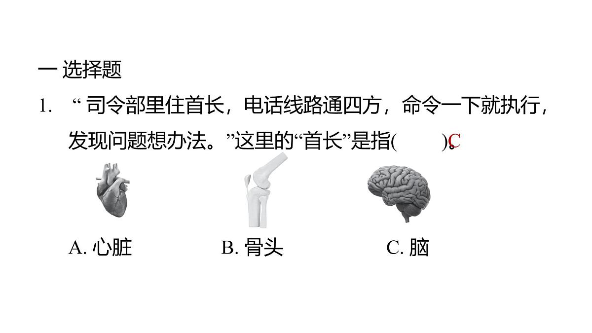 2025年教科版五年级科学上册4.4身体的“总指挥”（复习课件）第2页